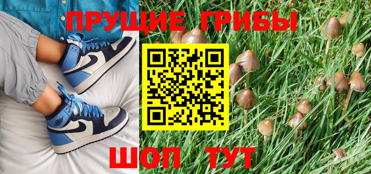 Галлюциногенные грибы Psilocybe Выкса