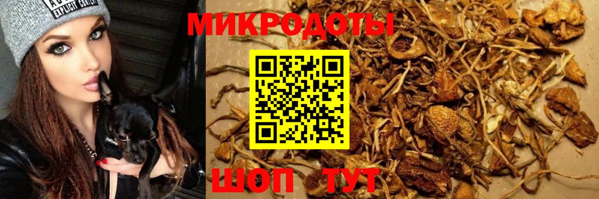 Выкса  Галлюциногенные грибы мицелий  Вход с VPN 